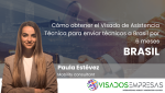 visado asistencia técnica para Brasil